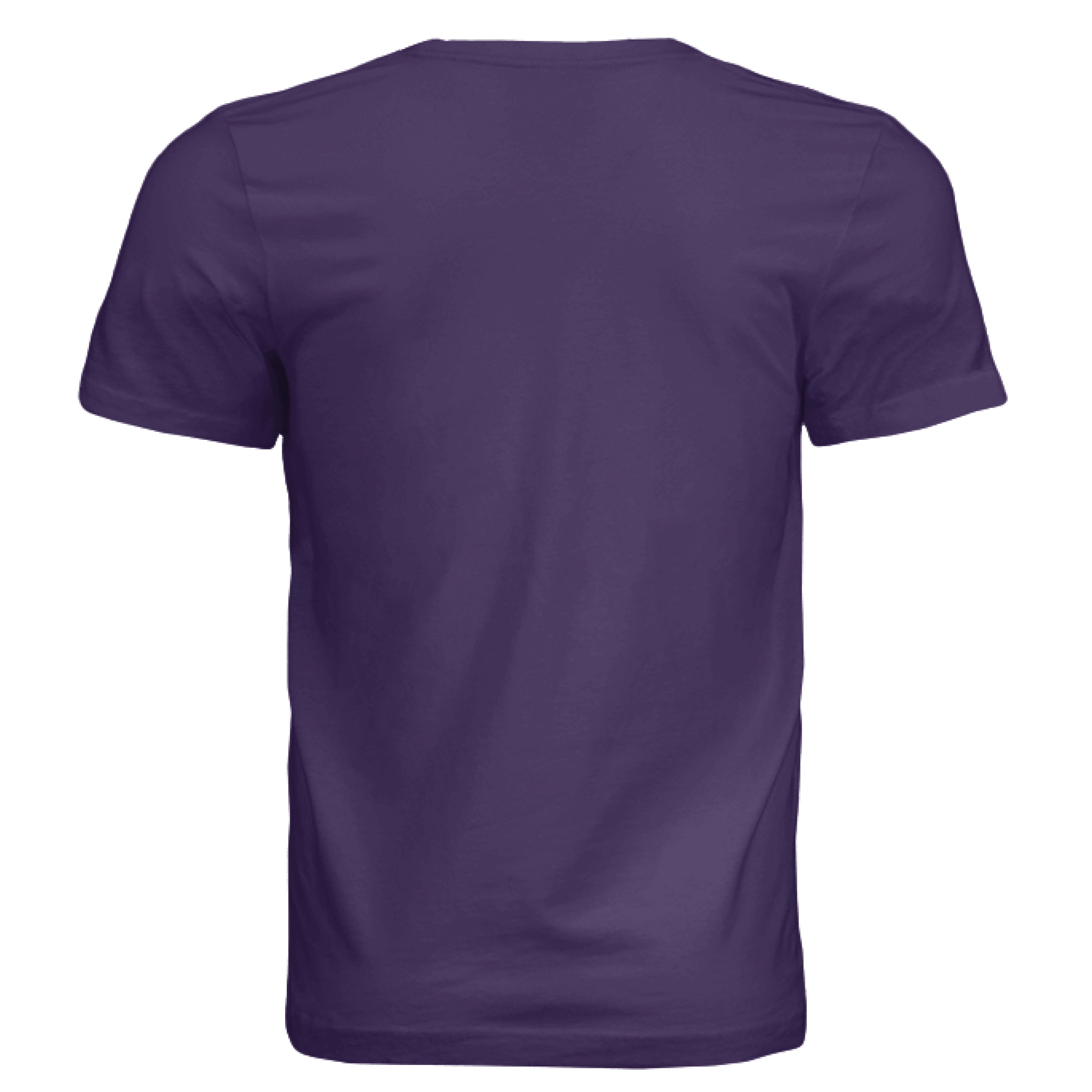 Solid Team Purple Triblend - BACK